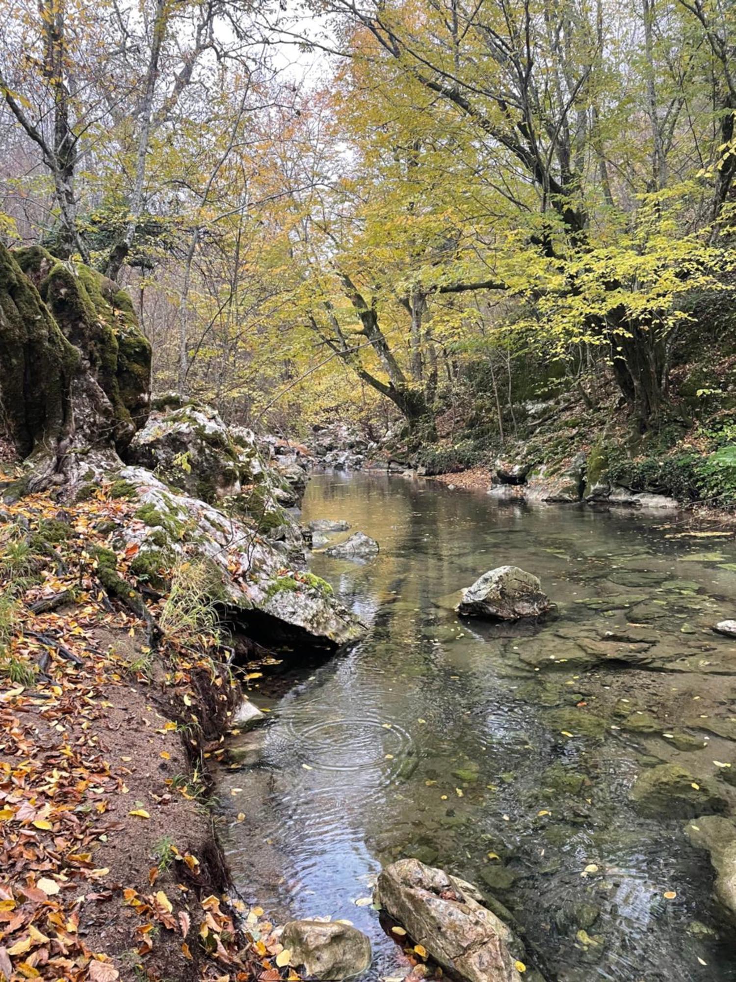 Mooie Bungalow In De Prachtige Natuur Hastiere-par-dela エクステリア 写真